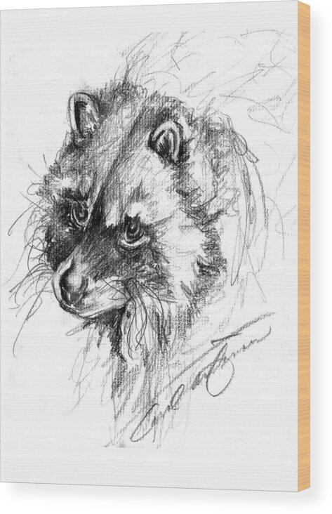 Raccoon Wood Print featuring the drawing Meditative raccoon by Carol Allen Anfinsen