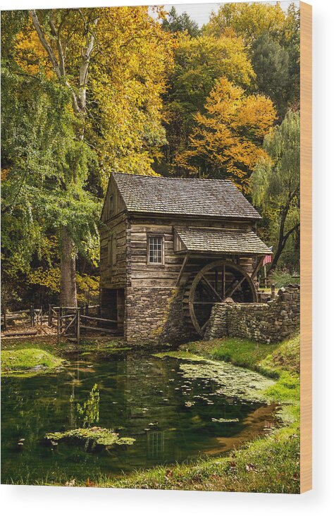 Fall Wood Print featuring the photograph Mill Pond by Glenn DiPaola