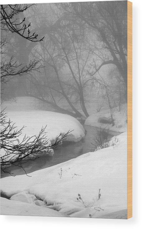 Landscape Wood Print featuring the photograph Misty Morning by Julie Lueders 