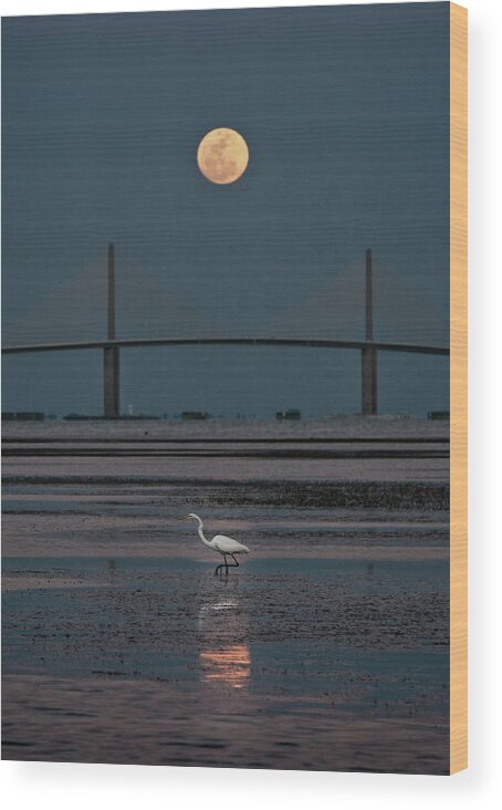 Moon Wood Print featuring the photograph Moonlight Stroll by Steven Sparks