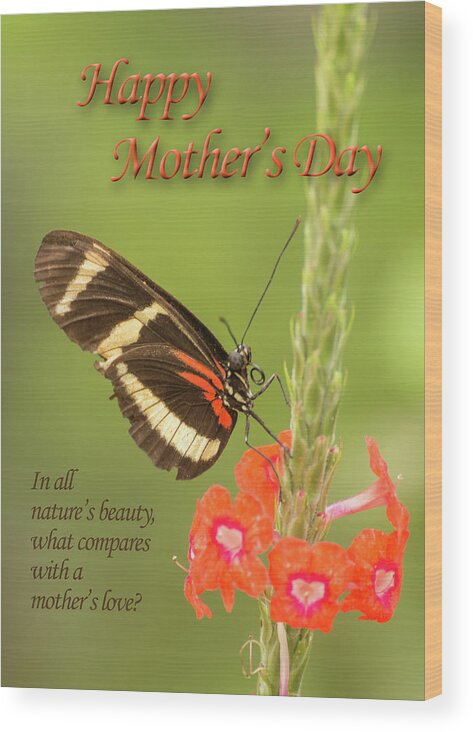 American Southwest Wood Print featuring the photograph Mother's Day-Butterfly by James Capo