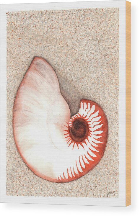 Nautilus Wood Print featuring the painting Nautilus Shell by Hilda Wagner