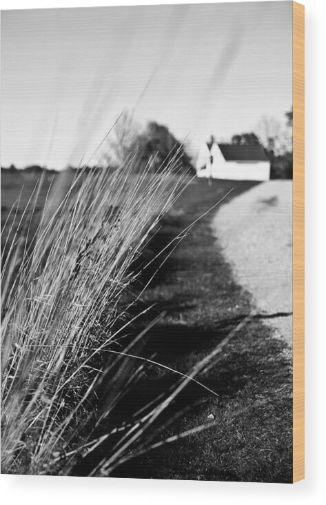 Nh Wood Print featuring the photograph NH Landscape Grass Stalks by Edward Myers