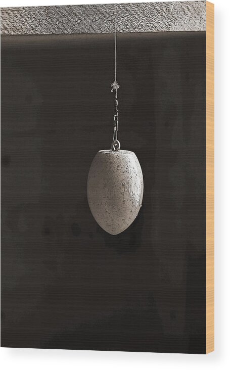 Bobber Wood Print featuring the photograph Odd Shaped Bobber by Sandra Church