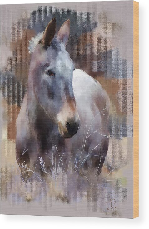 Aged Wood Print featuring the digital art Old mule by Debra Baldwin