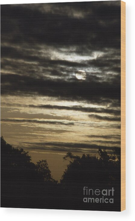 Moon Wood Print featuring the photograph Ominous Moon by Timothy Johnson