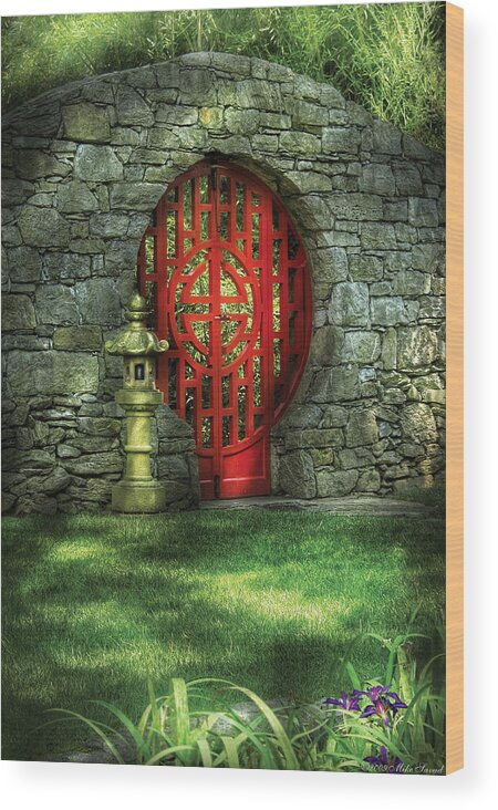 Door Wood Print featuring the photograph Orient - Door - The Moon gate by Mike Savad