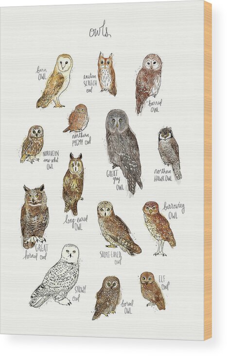 Owl Wood Print featuring the painting Owls by Amy Hamilton