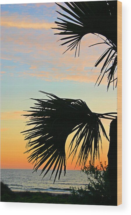 Beach Wood Print featuring the photograph Palm Silhouette by Kristin Elmquist