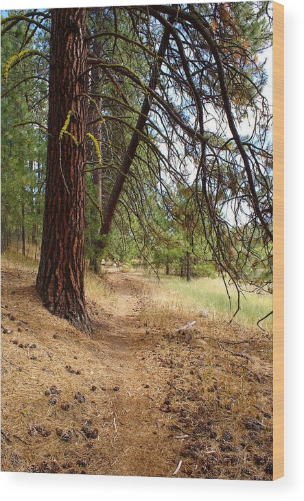 Nature Wood Print featuring the photograph Path to Enlightenment 2 by Ben Upham III