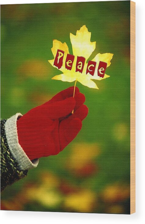 Peace Wood Print featuring the photograph Peace Card by Craig Perry-Ollila