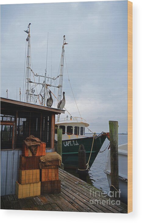 Apalachicola Wood Print featuring the photograph Pelicans Looking for Lunch by George D Gordon III