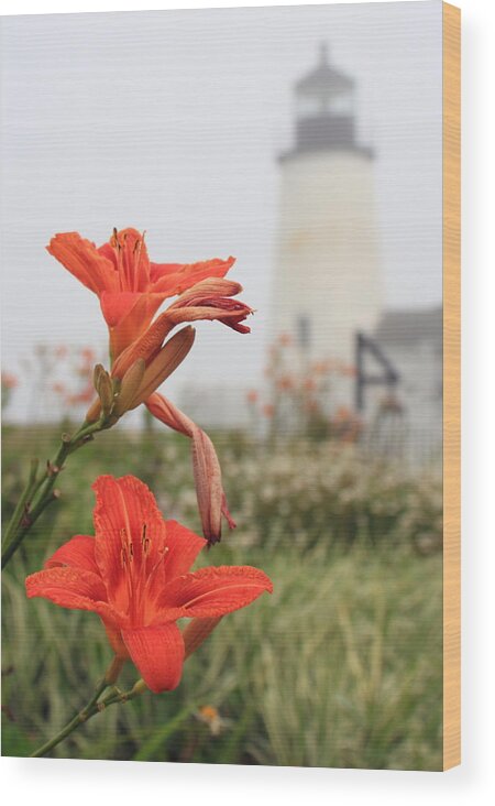 Flower Wood Print featuring the photograph Pemaquid Point Lighthouse and Day Lilies by John Burk