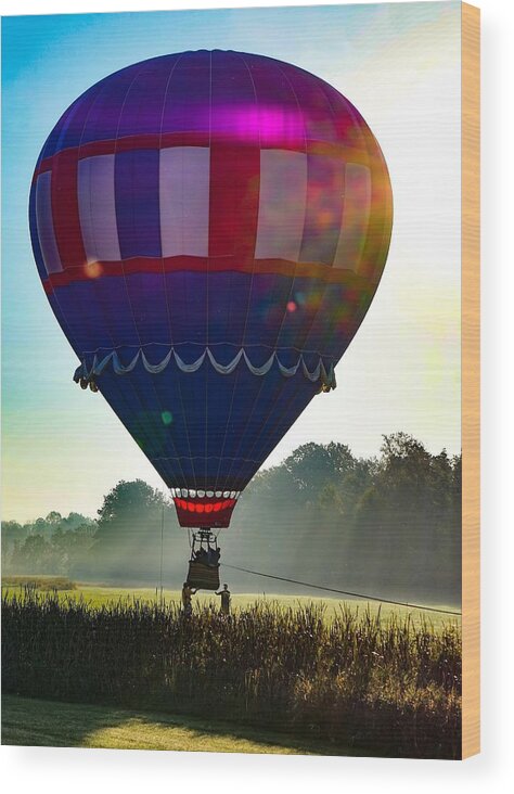  Wood Print featuring the photograph Perfect Landing by Kendall McKernon