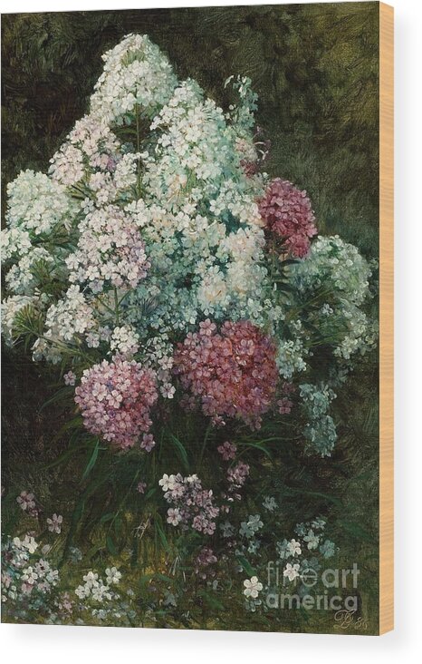 Phlox Wood Print featuring the painting Phlox by MotionAge Designs
