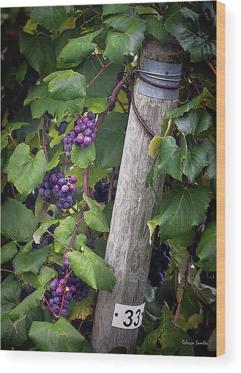 Vineyard Wood Print featuring the photograph Post 33 by Rebecca Samler