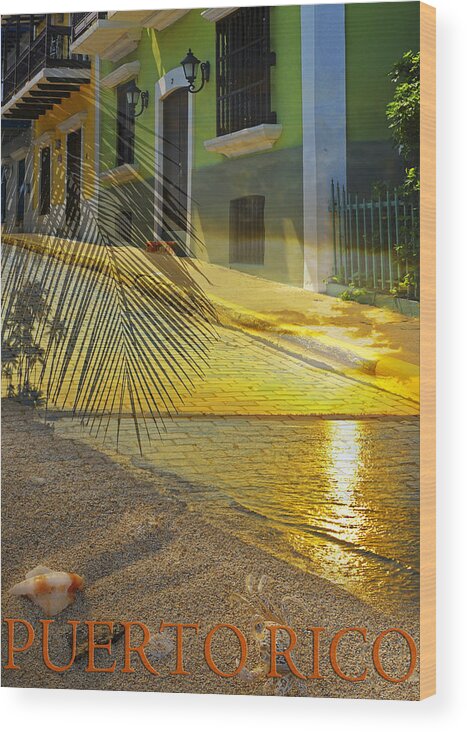 Puerto Rico Wood Print featuring the photograph Puerto Rico Collage 3 by Stephen Anderson
