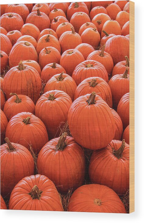 Autumn Wood Print featuring the photograph Pumpkin Patch by Robert Wilder Jr
