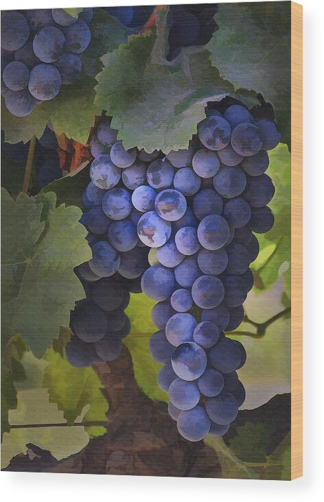 Grape Wood Print featuring the photograph Purple Blush by Sharon Foster