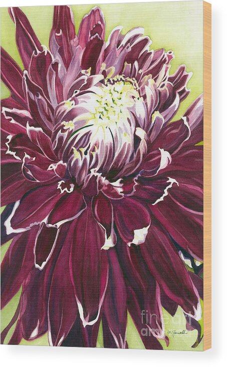 Watercolor Dahlia Wood Print featuring the painting Purple Velvet by Barbara Jewell