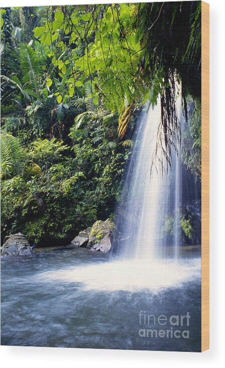 Puerto Rico Wood Print featuring the photograph Quebrada Juan Diego Waterfall by Thomas R Fletcher