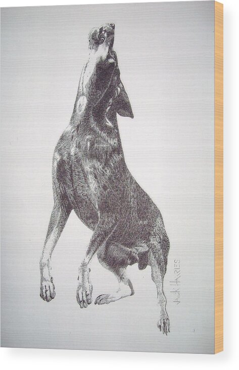 Bluetick Wood Print featuring the drawing Raider by Jack Harries