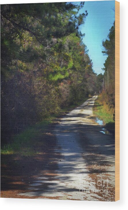 Scenic Wood Print featuring the photograph Rail Road by Skip Willits
