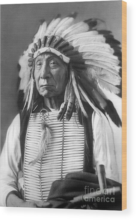 Red Wood Print featuring the photograph Red Cloud, Dakota Chief, wearing a headdress, 1880s by David Frances Barry
