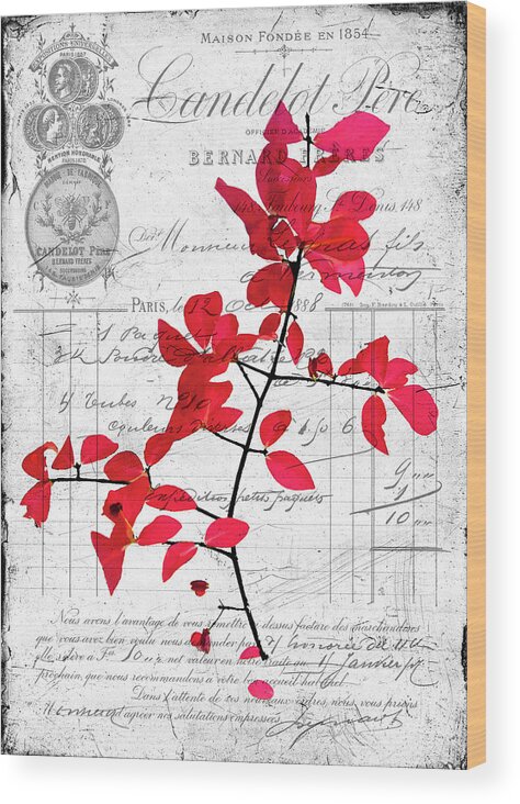 Black Wood Print featuring the photograph Red Leaves by Cathy Kovarik