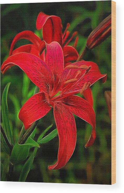 Lily Wood Print featuring the digital art Red Lily by Charmaine Zoe