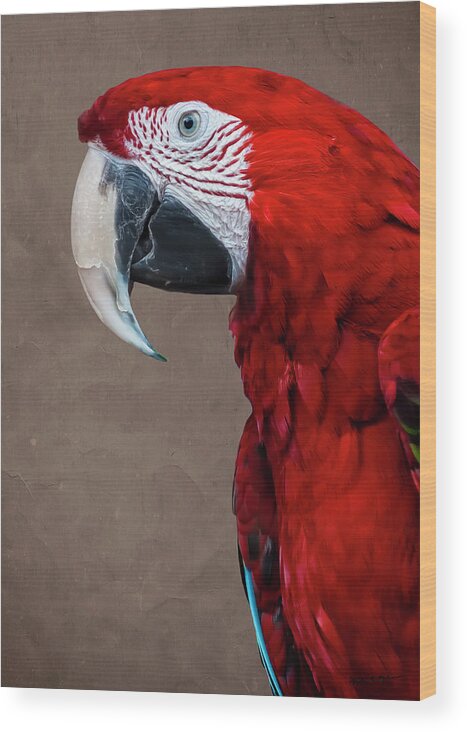 Bird Wood Print featuring the photograph Red Macaw by Mark Myhaver