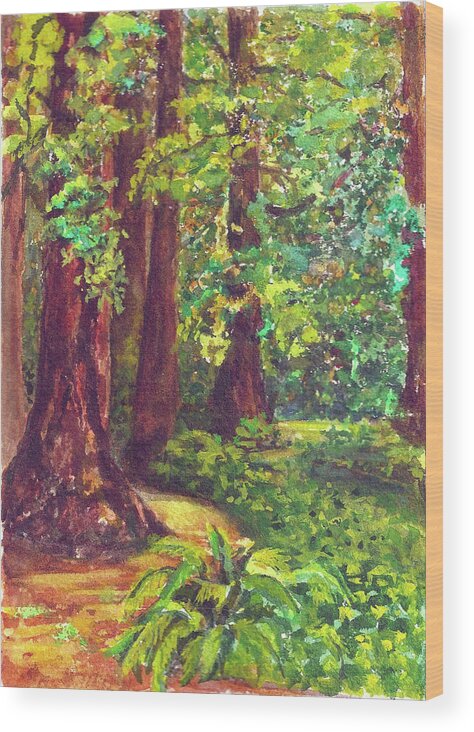 San Francisco Wood Print featuring the mixed media Redwood Grove by Karen Coggeshall