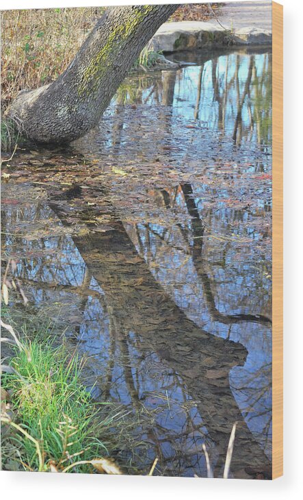 Pond Wood Print featuring the photograph Reflections I by Ron Cline