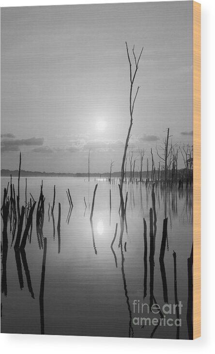 Manasquan Reservoir Wood Print featuring the photograph Reflections of Solitude by Debra Fedchin