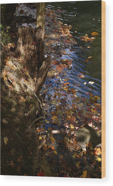 Riverbank Wood Print featuring the photograph Riverbank view by Margie Avellino
