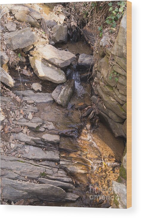 Stream Wood Print featuring the photograph Rocks and Water by MM Anderson