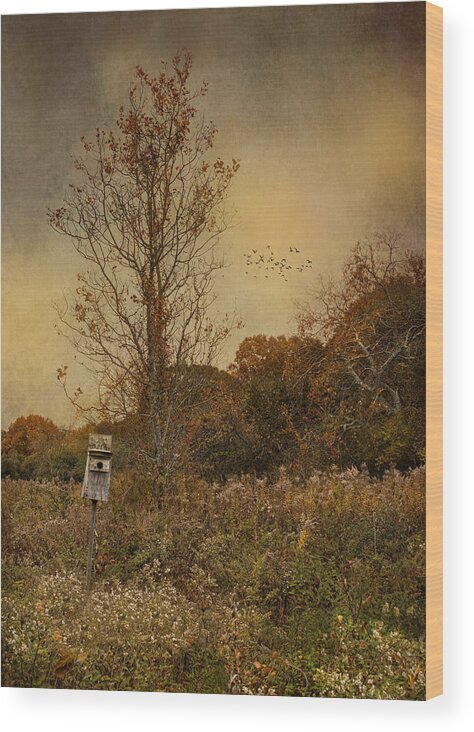 Bird House Wood Print featuring the photograph Room For One by Robin-Lee Vieira