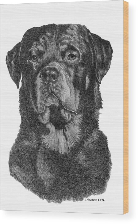 Rottweiler Wood Print featuring the drawing Rottweiler Portrait by Louise Howarth