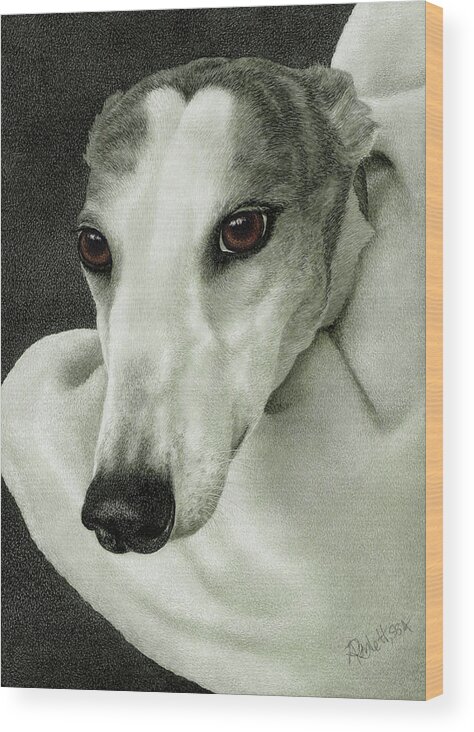 Greyhound Wood Print featuring the drawing Safety by Ann Ranlett