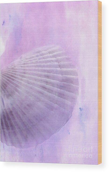 Shell Wood Print featuring the photograph Scallop Sea Shell in Purple by Betty LaRue