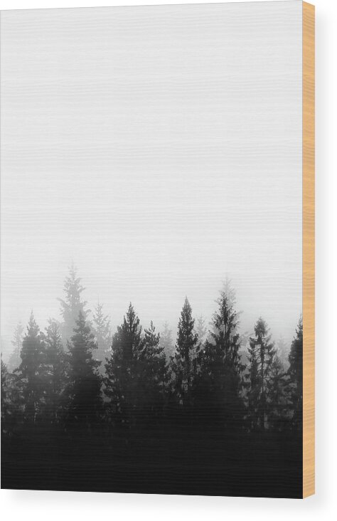 Nordic Wood Print featuring the mixed media Scandinavian Forest by Nicklas Gustafsson