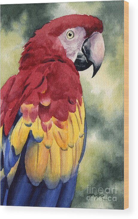 Scarlet Wood Print featuring the painting Scarlet Macaw by David Rogers
