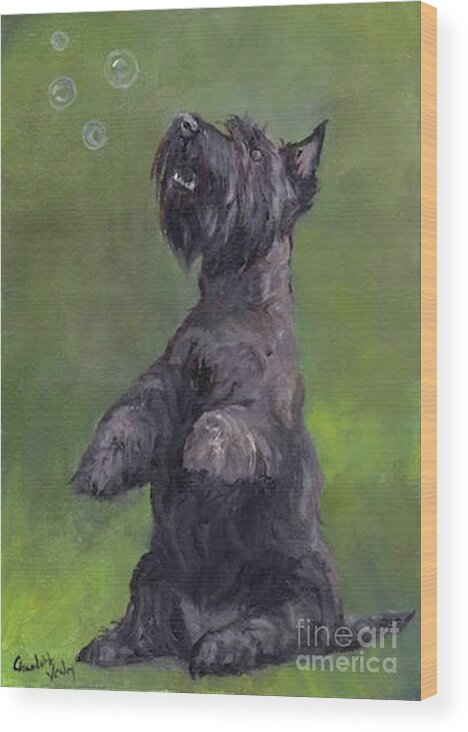 Scottish Terrier Wood Print featuring the painting Scottie Likes Bubbles by Charlotte Yealey