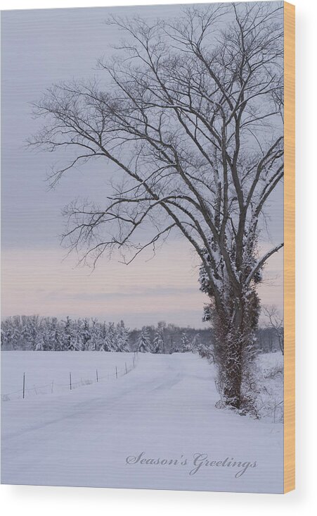 Season's Greetings Wood Print featuring the photograph Season's Greetings- Country Road by Holden The Moment