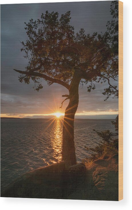 Bellingham Wood Print featuring the photograph Secret Sunset by Ryan McGinnis
