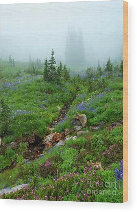 Meadow Wood Print featuring the photograph Sentinels in the Mist by Michael Dawson