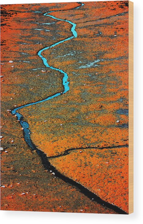 Serpentine Wood Print featuring the photograph Serpentine Fen by Barbara White