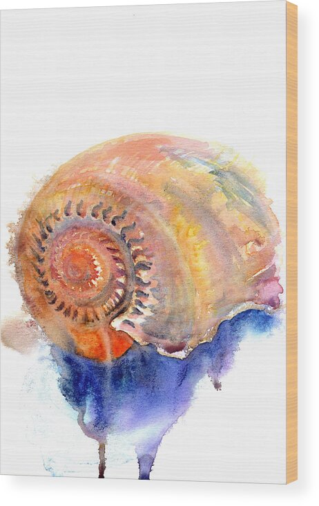 Shell Art Wood Print featuring the painting Shell Nose by Ashley Kujan