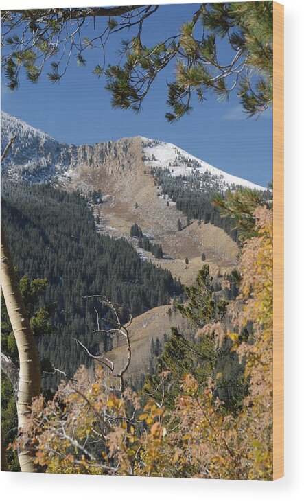 Sierra Blanca Wood Print featuring the photograph Sierra Blanca First Snow by Bill Hyde