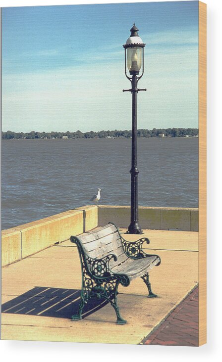 Delaware River Wood Print featuring the photograph Sitting on the Delaware by Emery Graham
